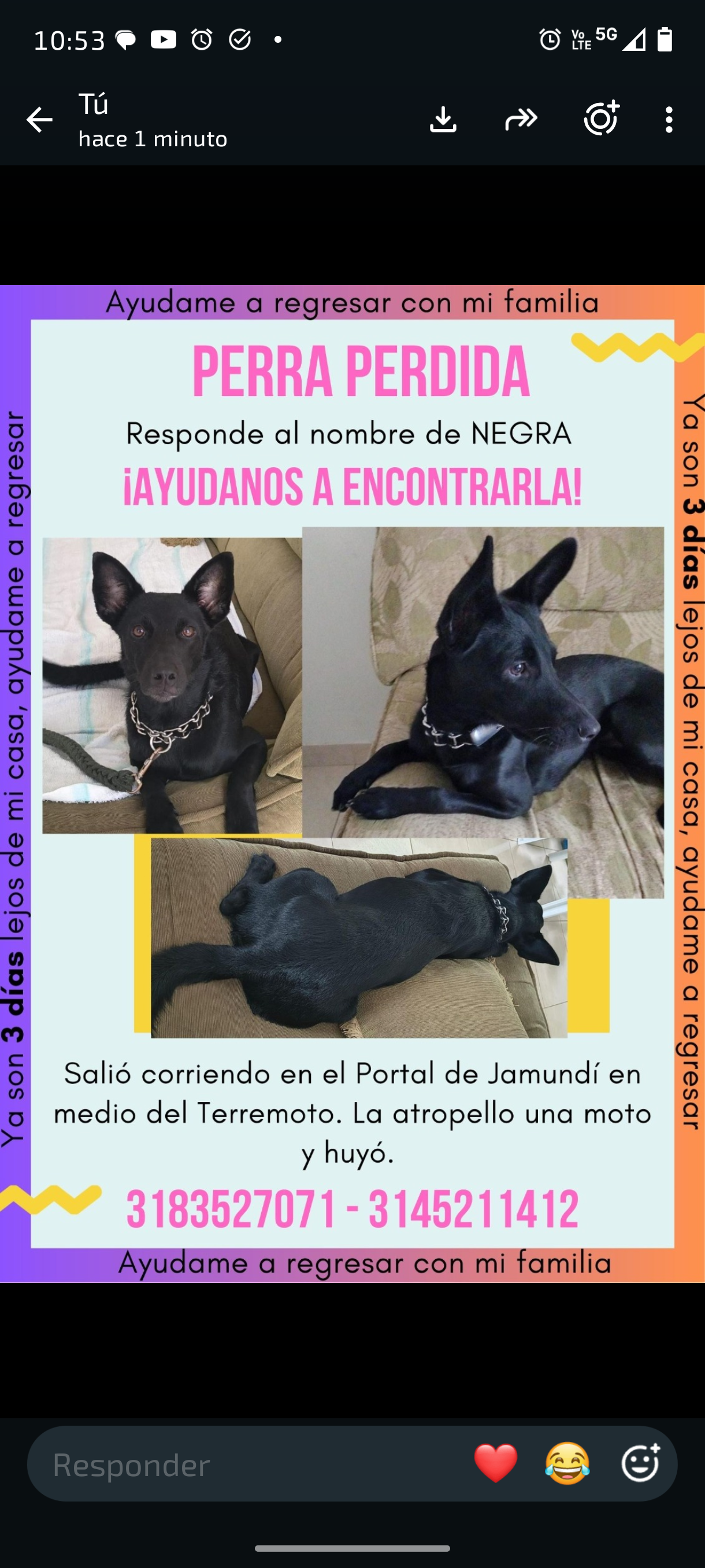 Negra