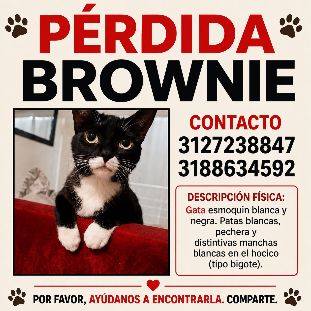 Brownie 