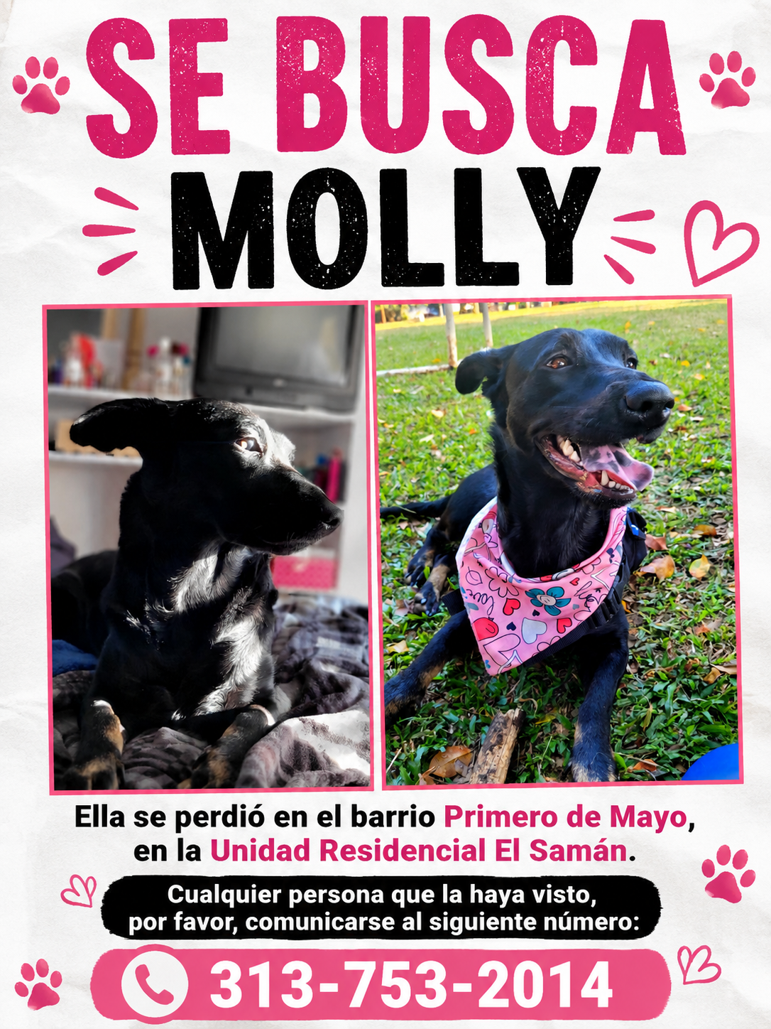 Molly