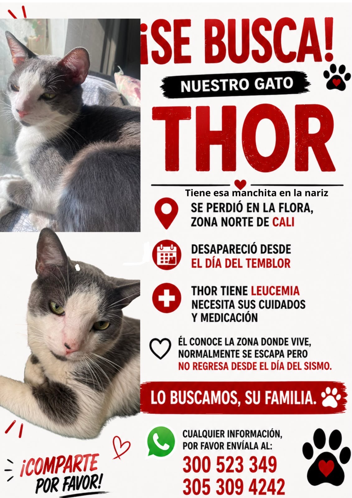 Thor 