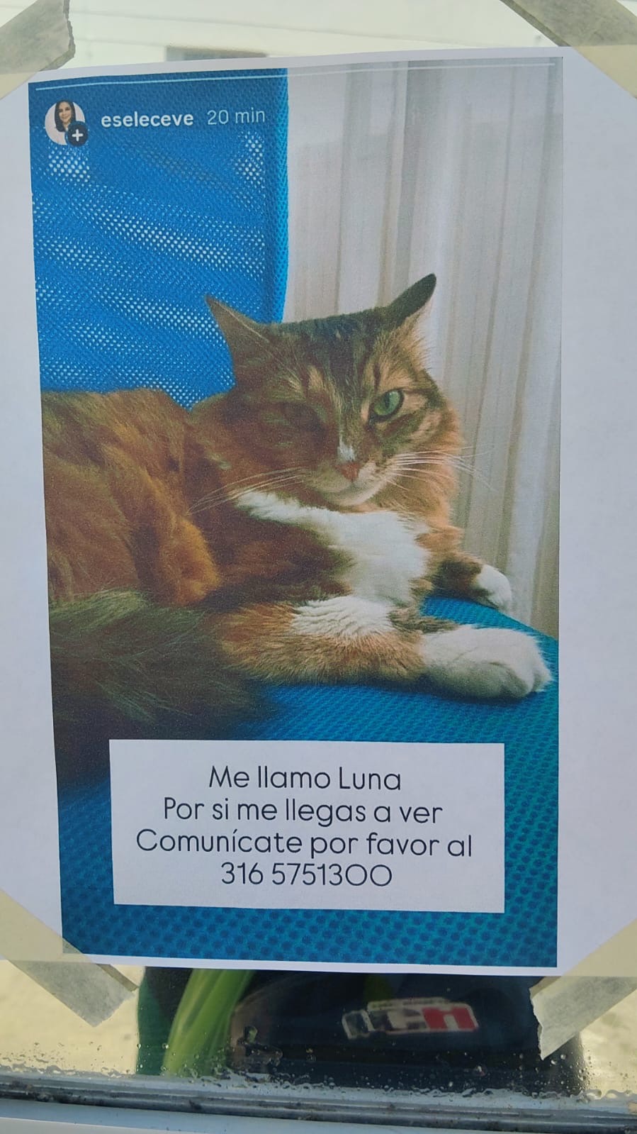 Luna